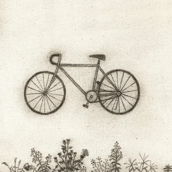 Bicycle cover