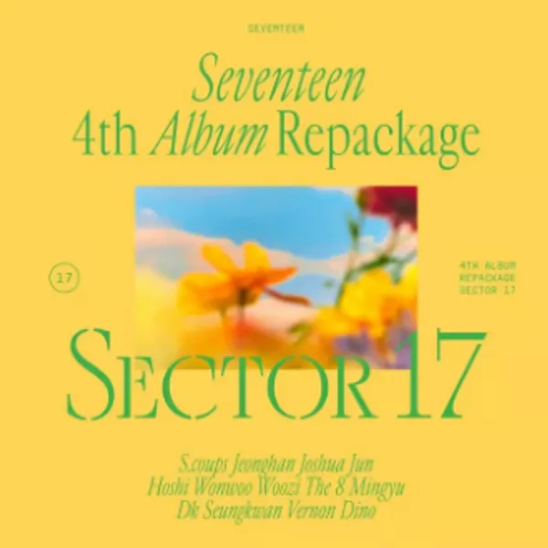 SECTOR 17 cover