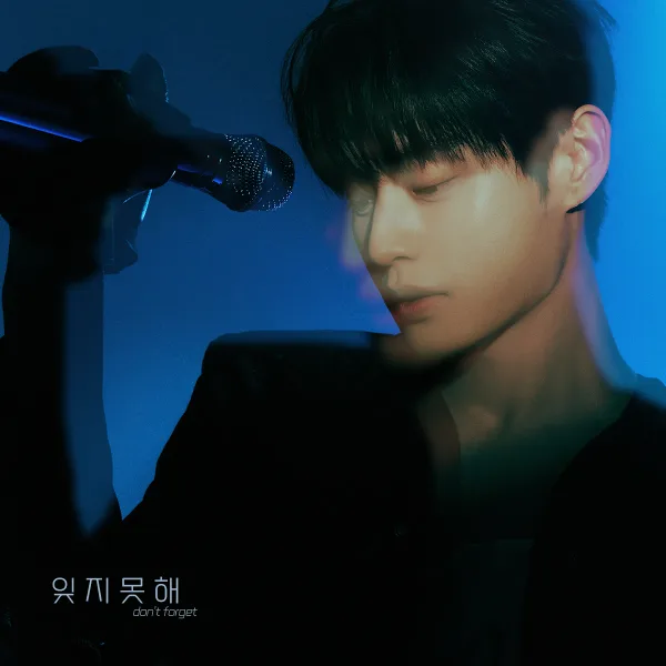 잊지 못해 (DON’T FORGET) cover