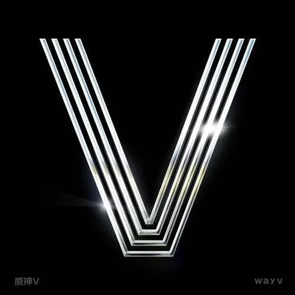 THE VISION cover